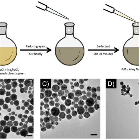 Synthesis Of Palladiumgold Pdau Alloy Nanoparticles Nps A