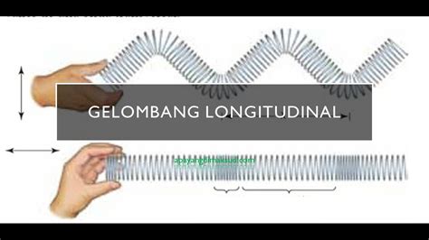 Detail Contoh Gelombang Longitudinal Koleksi Nomer