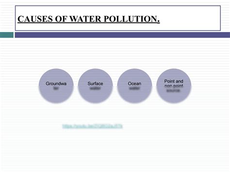 Solution Water Pollution 3 Studypool