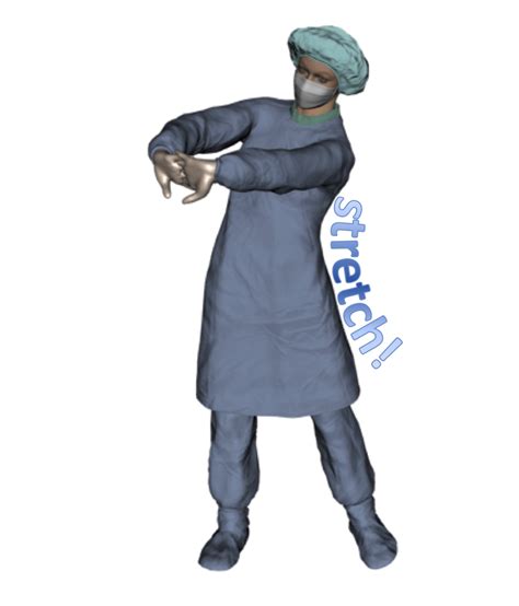 Surgical Ergonomics Movement And Posture Ergovet