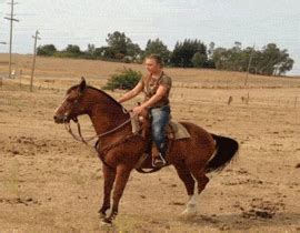 Horse Falling GIFs - Get the best GIF on GIPHY