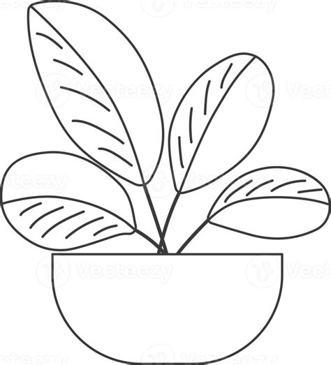 Minimal style potted plants, drawing for coloring. 15735870 PNG