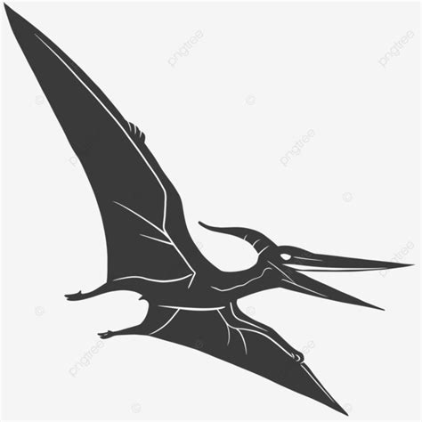 Dibujos Animados De Pteranodon Png Dibujos Dibujos Animados De