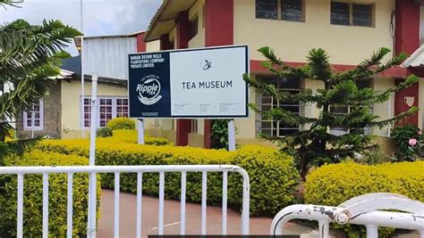 Tata Tea Museum Munnar History Timings Ticket Price