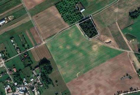 krasnopol jewish cemetery esjf surveys