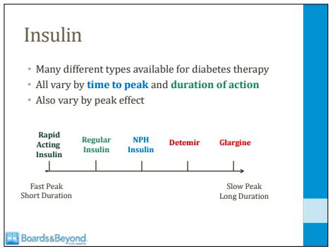 Insulin Flashcards Quizlet