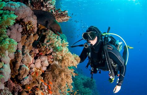 10 reglas de buceo que debes conocer si eres principiante