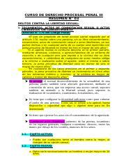 CURSO DE DERECHO PROCESAL PENAL III Docx CURSO DE DERECHO PROCESAL