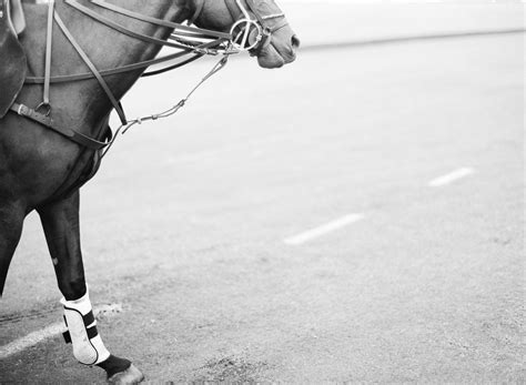 Polo Field Kt Merry Fine Art