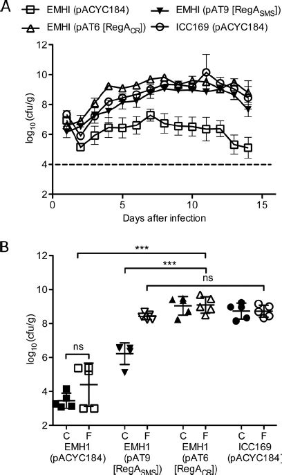 Infection Of Mice With C Rodentium Strains A Fecal Counts Of C