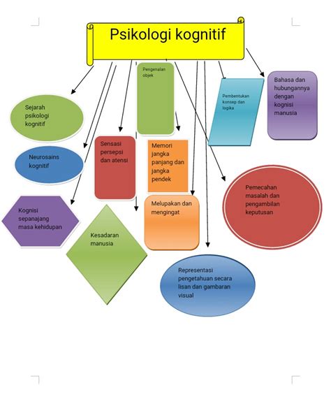 Apa Itu Psikologi Kognitif Contoh Definisi Dan Manfaat Psikolog Hot