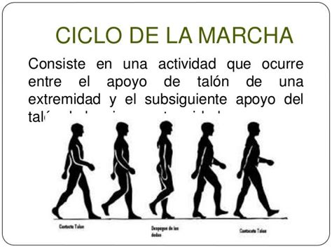 Biomecanica De La Marcha