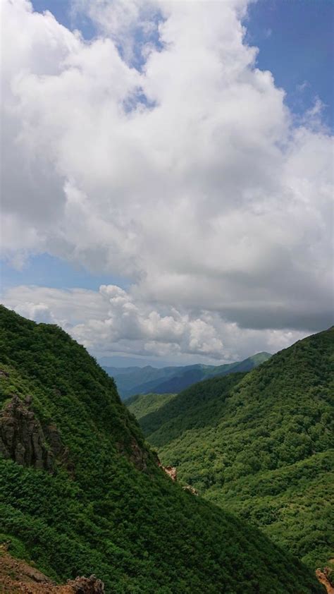 by averygreenery on greenery positivity | Nature photography ...