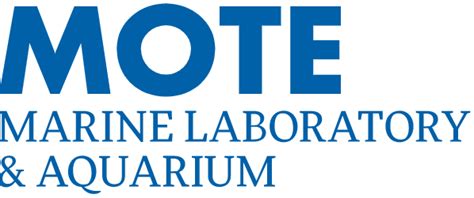 Mote Marine Laboratory & Aquarium - The Lazy Naturalist - Sarasota, Florida