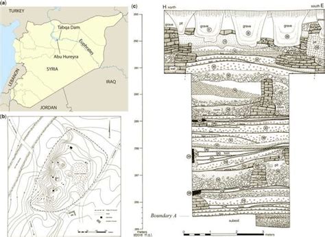 Excavations at Abu Hureyra, Syria: (a) contour map of settlement mound ...