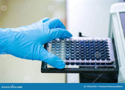 ELISA Plate To Measure OD with Microplate Reader. Stock Photo - Image ...