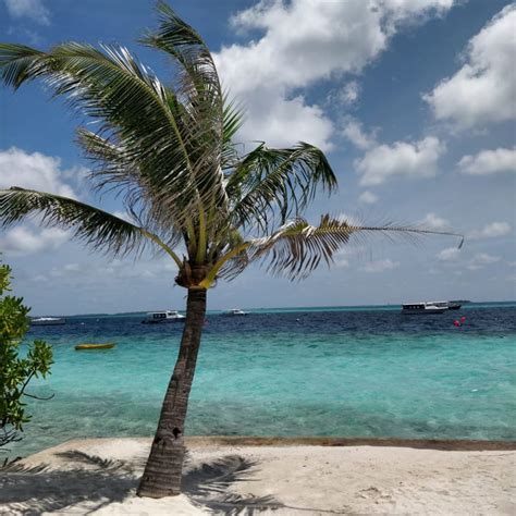 Malahini Kuda Bandos Resort (Hulhumalé) • HolidayCheck (Kaafu Atoll ...