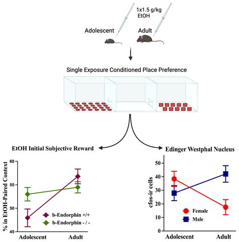 Sensitivity To The Initial Rewarding Effects Of Alcohol Influence Of