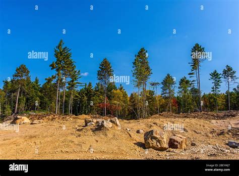 Lumbering Operation Aftermath In Algonquin Provincial Park Algonquin