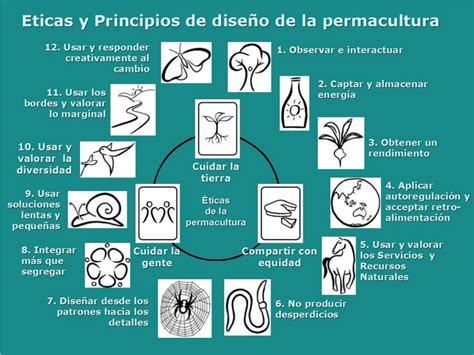 PERMACULTURA PARA PRINCIPIANTES Construir TV