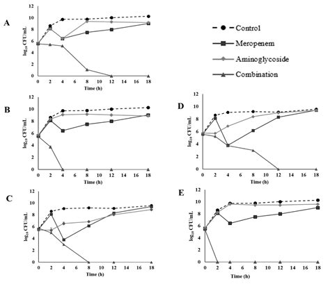 Synergistic Antibacterial Effects Of Meropenem In Combination With Aminoglycosides Against