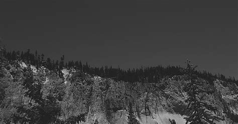 A Few Black And White Shots From My Trip To Yellowstone National Park Album On Imgur