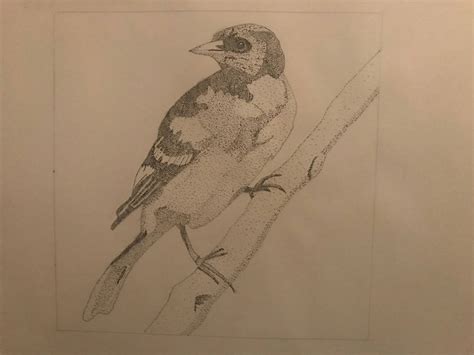 Stipple Bird By Greddy331 On Deviantart