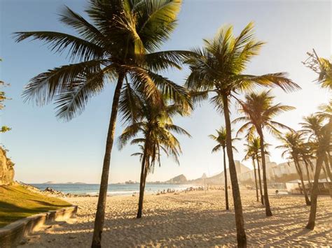 Premium Photo Sunset View Of Leme And Copacabana Beach With Coconut