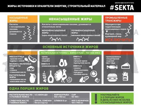 Жиры — Информационный портал Школы идеального тела #SEKTA | Жиры ...