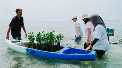 Komitmen Kurangi Emisi Karbon Dengan Menanam 1000 Pohon Mangrove Di