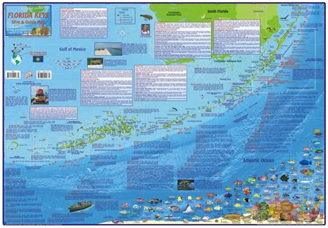 Florida Keys Snorkeling Map - Printable Maps