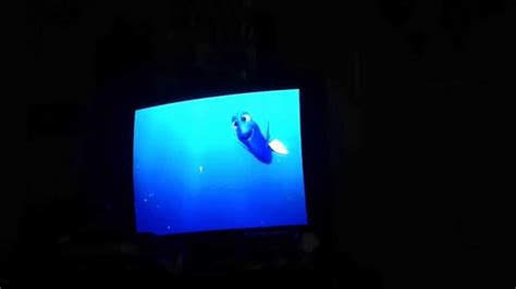 Finding Nemo Bad Squishy Youtube