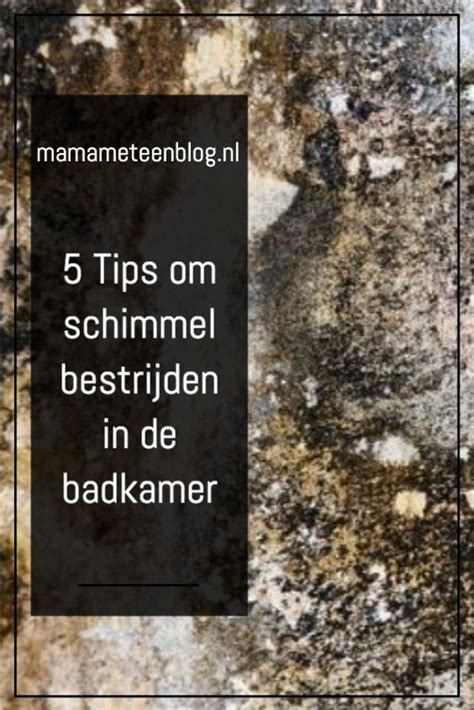 Tips Om Schimmel In De Badkamer Te Bestrijden Badkamer Schimmel