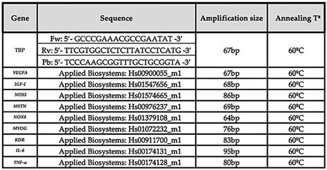 Real Time Pcr Rt Qpcr Primer Sets And Taqman Assays Used In The Ghas