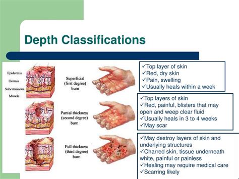 Ppt Chapter Seven Powerpoint Presentation Id