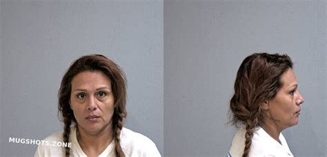 Pacheco Maria Elena Hidalgo County Mugshots Zone