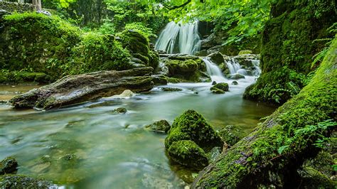 HD Wallpaper Moss Mossy Waterfall Stream Green Nature Body Of