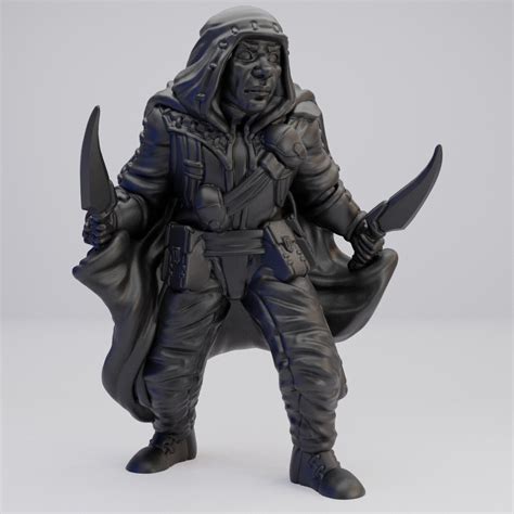 Hot Goblin ローグ人間男性 ミニチュア ホットゴブリン TRPG 盗賊