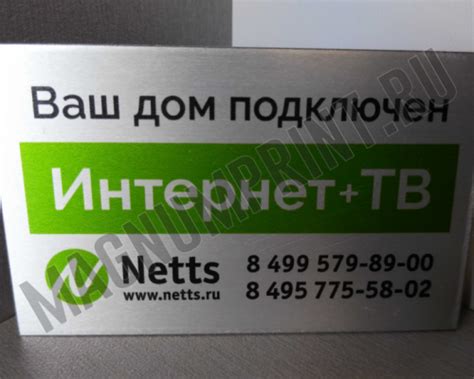 Шильды