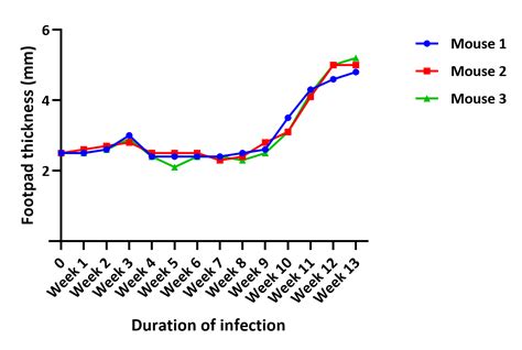 Development Of An ELISA For The Quantification Of Mycolactone The