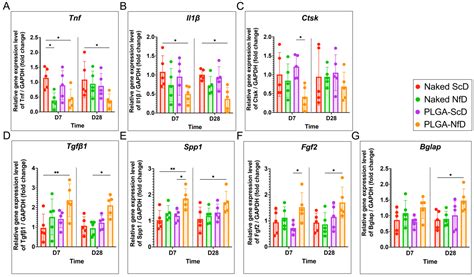 Ijms Free Full Text Nf B Decoy Oligodeoxynucleotide Loaded Poly