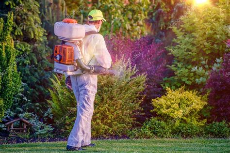 Pest Control Garden Spraying — Stock Photo © welcomia #117714198