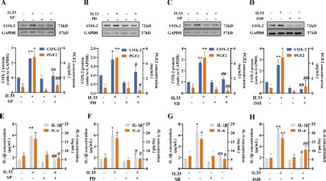 Involvements Of Jnk Erk1 2 P38 And Nf κb In The Induction Cox 2