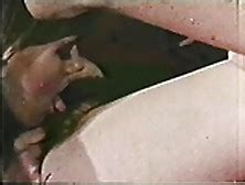 Terri Dolan Nude Pornstar Search Results