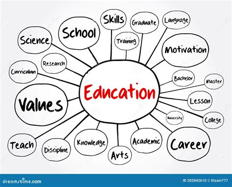 Education Mind Map Flowchart Concept Presentations Stock Vector Photos