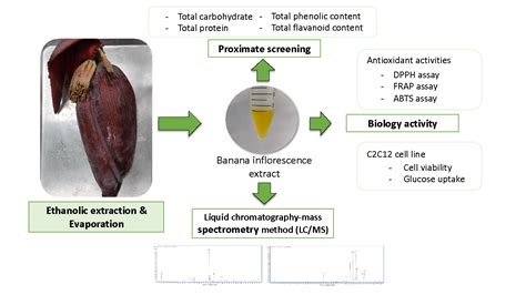 Antioxidant And Anti Diabetic Activities Of Crude Ethanolic Extract