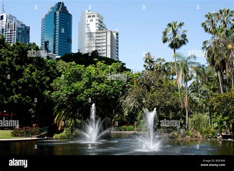 City Botanic Gardens, Brisbane, Queensland, Australia Stock Photo - Alamy