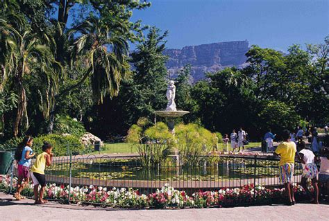 Down the garden path … Cape Town Company Gardens