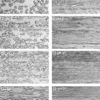 Optical Micrographs Of Longitudinal Cross Section Of Cu Cr Ni Ni