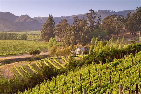 Santa Barbara Wine Country Hideaway Report